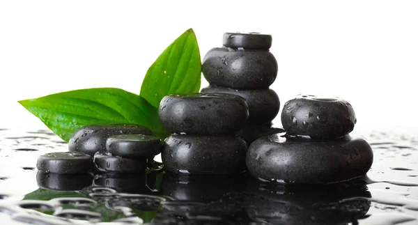 Spa stones with drops and green leaves on white background — Stock Photo, Image
