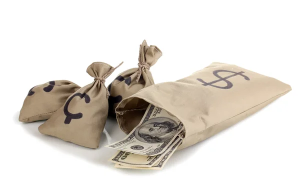Bolsas con dinero aislado en blanco — Foto de Stock
