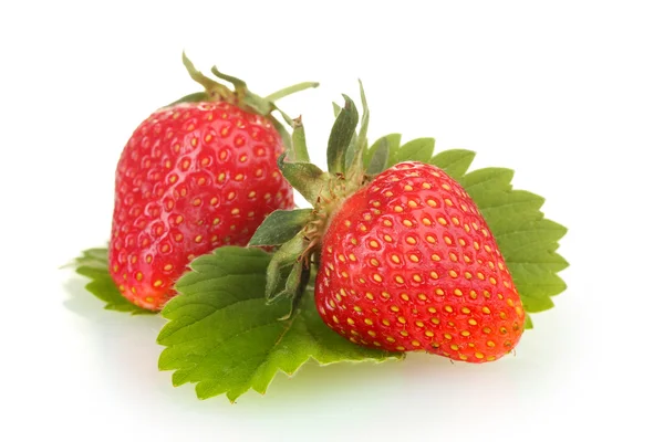 Sweet ripe strawberries with leaves isolated on white — Stock Photo, Image