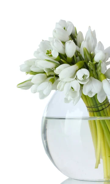 Schöner Strauß Schneeglöckchen in transparenter Vase isoliert auf weiß — Stockfoto