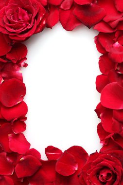 Beautiful petals of red roses and roses isolated on white clipart