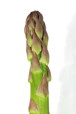 beyaz izole lezzetli taze kuşkonmaz