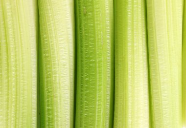 Fresh freen celery clipart