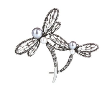 Beautiful silver brooch with precious stones isolated on white clipart