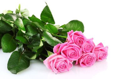 beyaz izole birçok pembe güller