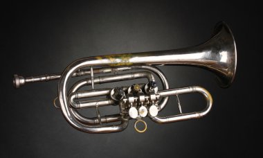 gri zemin üzerine eski trompet