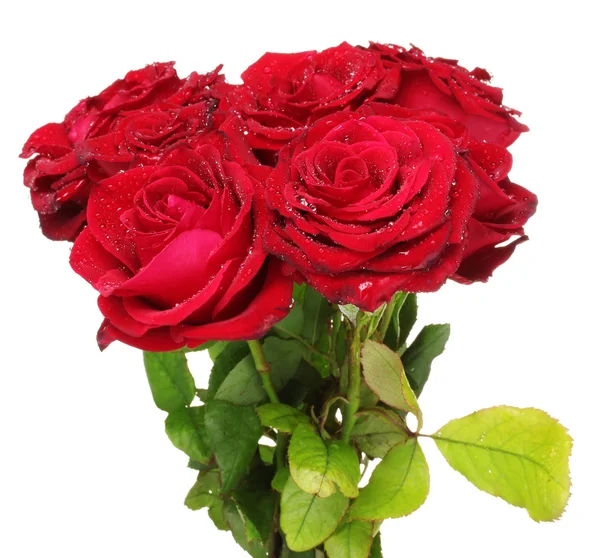 Beautiful bouquet of red roses isolated on white — Stock Photo, Image