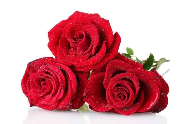 Beautiful bouquet of red roses isolated on white — Stock Photo, Image