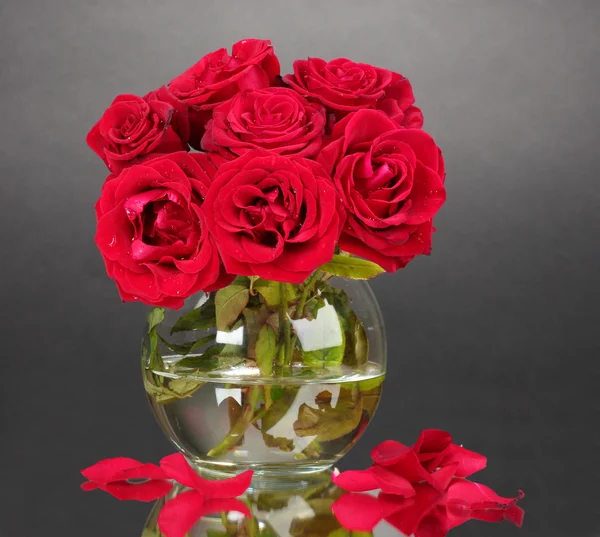 Belas rosas vermelhas em vaso no fundo cinza — Fotografia de Stock