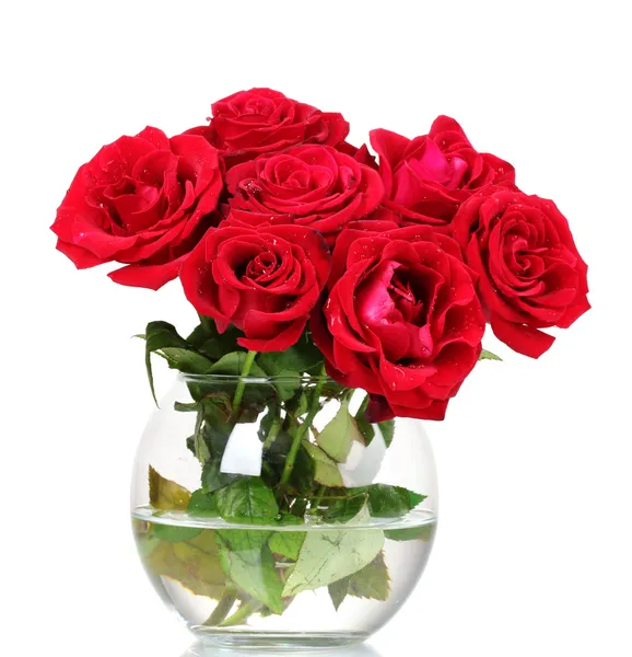 Hermosas rosas rojas en un jarrón aislado en blanco — Foto de Stock