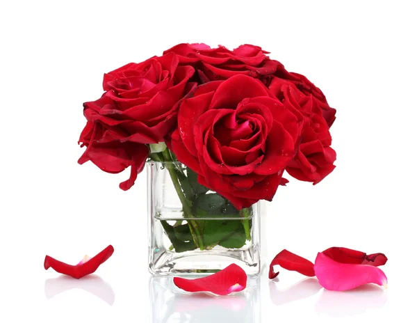 Beautiful red roses in a vase isolated on white — Stock Photo, Image