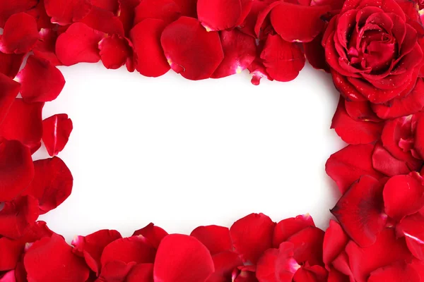 Красивые лепестки красных роз и роз изолированы на белом — стоковое фото