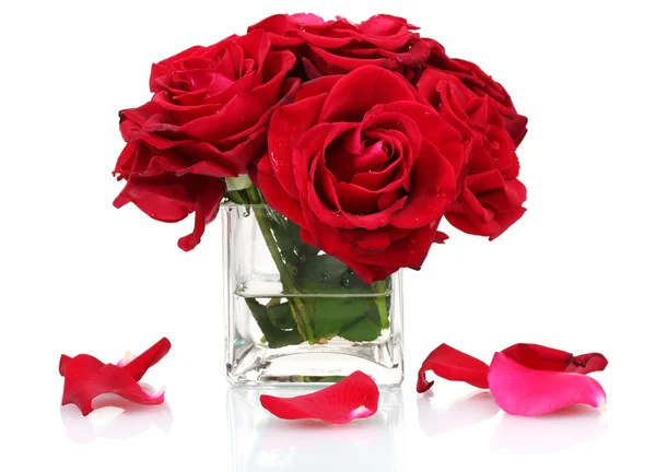 Krásné červené růže do vázy izolované na bílém — Stock fotografie