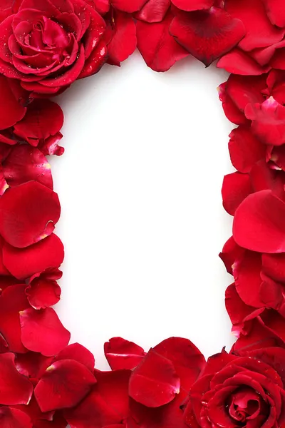 Schöne Blütenblätter von roten Rosen und Rosen isoliert auf weiß — Stockfoto