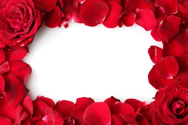 赤いバラの美しい花びらのフレーム — ストック写真