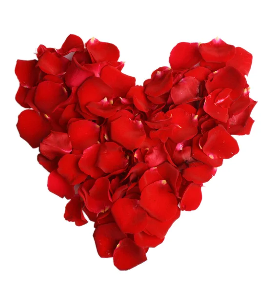 흰색에 분리되어 있는 아름다운 붉은 장미 꽃잎의 심장 — 스톡 사진