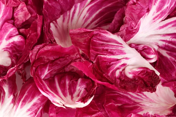 Red cabbage leaves closeup — Stock Photo, Image