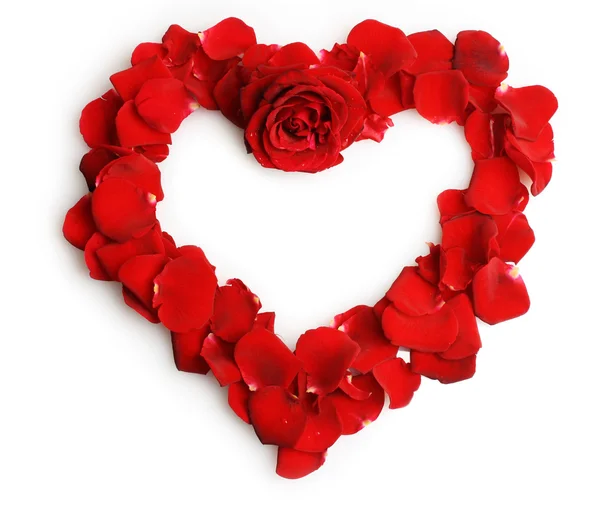 Schönes Herz aus roten Rosenblättern isoliert auf weißem Grund — Stockfoto