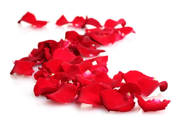 Όμορφα πέταλα από κόκκινα τριαντάφυλλα απομονωμένα σε λευκό — Φωτογραφία Αρχείου