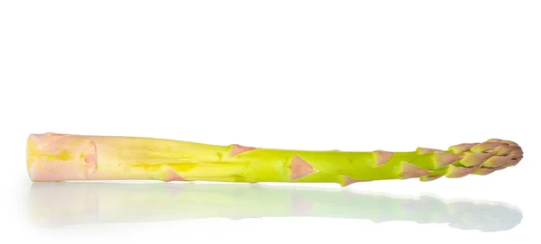 흰색 절연 맛 있는 신선한 아스파라거스 — 스톡 사진