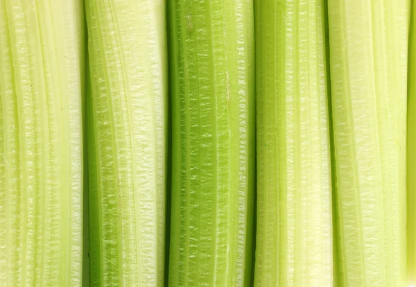 Fresh freen celery — Stock Photo, Image