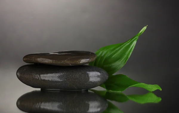 Wellness-Steine und Blätter auf schwarzem Hintergrund — Stockfoto