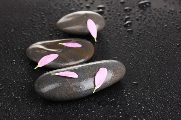 Spa stones with water drops and pink petals on black background — Stock Photo, Image