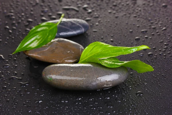 Spa kövek vízzel esik, és elhagyja a fekete háttér — Stock Fotó