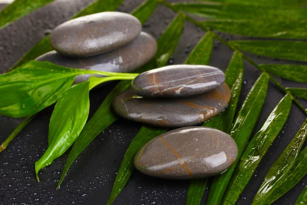 Spa stones with water drops on palm leaf on black background — Stock Photo, Image