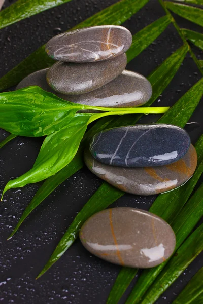 stock image Spa stones with water drops on palm leaf on black background