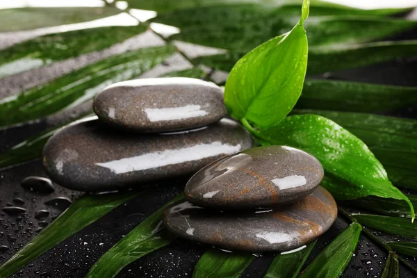 Wellness-Steine mit Wassertropfen auf Palmblatt auf schwarzem Hintergrund — Stockfoto