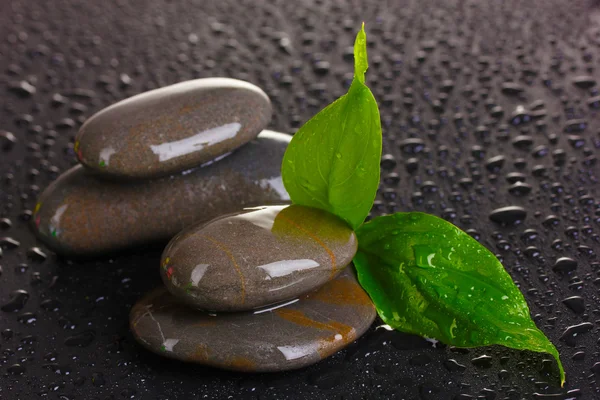 Spa stones with water drops and leaves on black background — Stock Photo, Image