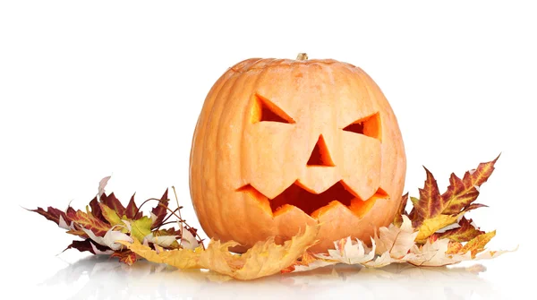 Abóbora de Halloween e folhas de outono isoladas em branco — Fotografia de Stock