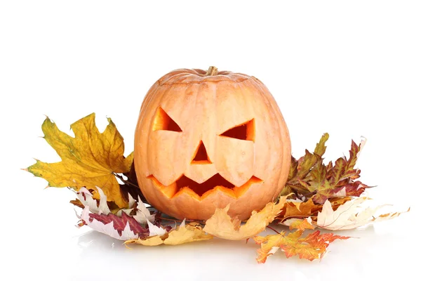 Zucca di Halloween e foglie autunnali isolate su bianco — Foto Stock