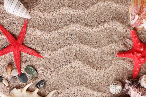 Beach with a lot of seashells and starfish — Stock Photo, Image