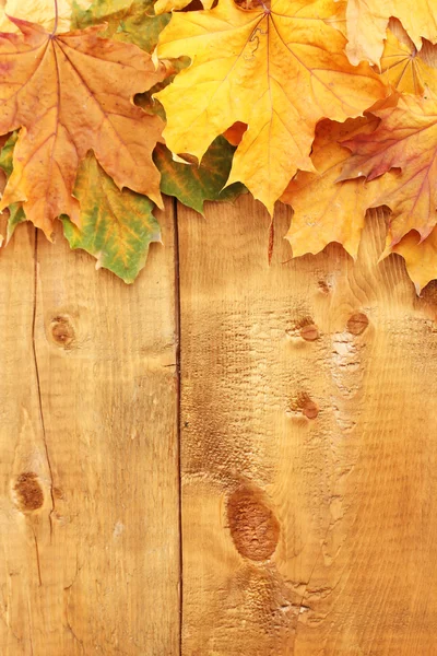 Hojas de arce de otoño seco sobre fondo de madera —  Fotos de Stock
