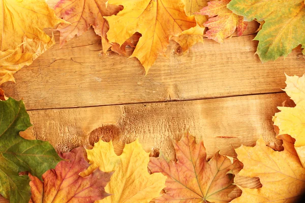 Foglie di acero asciutto autunno su sfondo di legno — Foto Stock