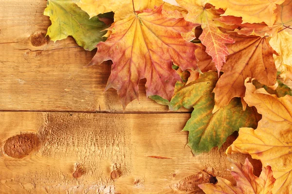 Folhas de bordo de outono seco no fundo de madeira — Fotografia de Stock