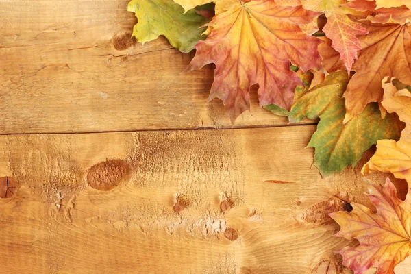 Folhas de bordo de outono seco no fundo de madeira — Fotografia de Stock