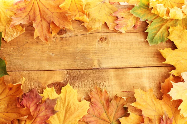 Feuilles d'érable d'automne sèches sur fond en bois — Photo