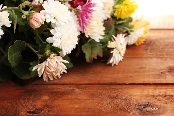 Bright Chrysanthemums flowers on wooden background — Stock Photo, Image