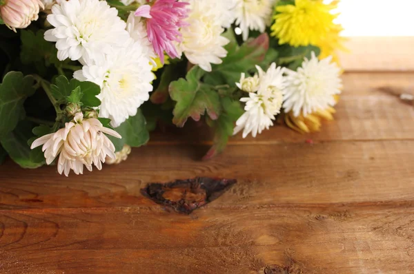 Flores de crisantemos brillantes sobre fondo de madera —  Fotos de Stock