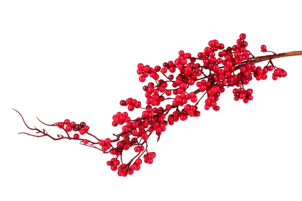 Hermosa rama con bayas rojas aisladas en blanco — Foto de Stock