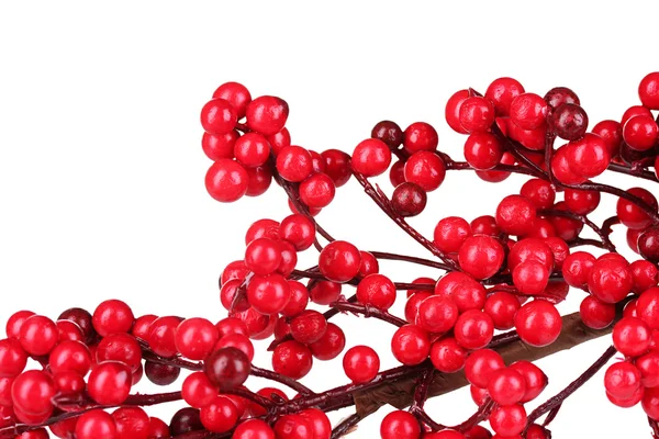 Красивая ветка с красными ягодами изолированы на белом — стоковое фото