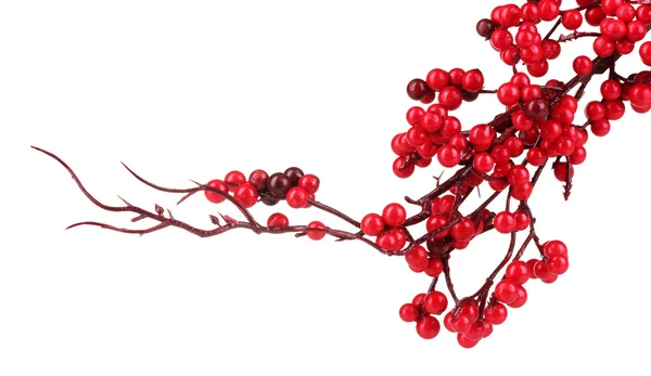 Beautiful branch with red berries isolated on white — Stock Photo, Image