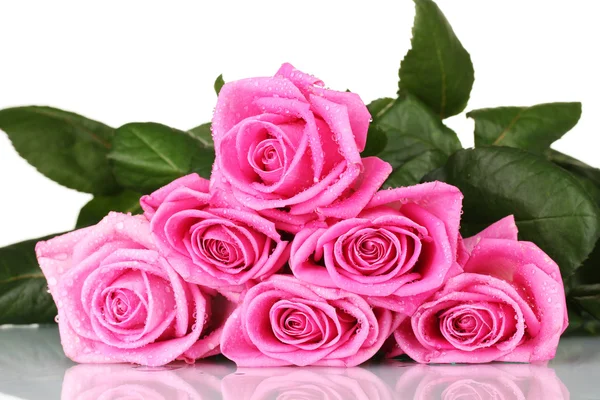 白で隔離される多くのピンクのバラ — ストック写真