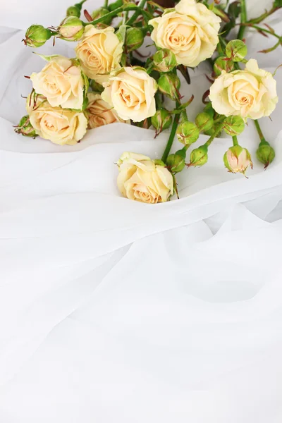 Piccole rose in un panno bianco isolato su bianco — Foto Stock