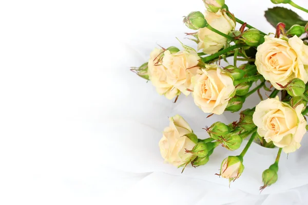 Маленькие розы на белой ткани — стоковое фото