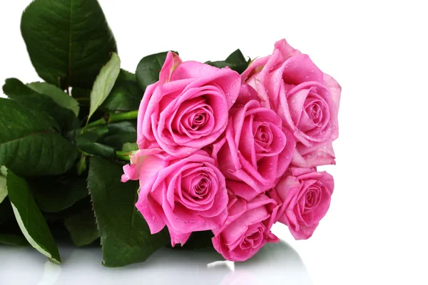 Muchas rosas rosadas aisladas en blanco —  Fotos de Stock