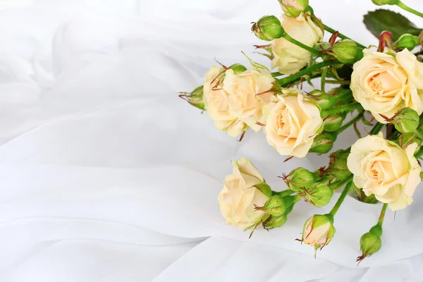 Pequenas rosas em um pano branco isolado em branco — Fotografia de Stock